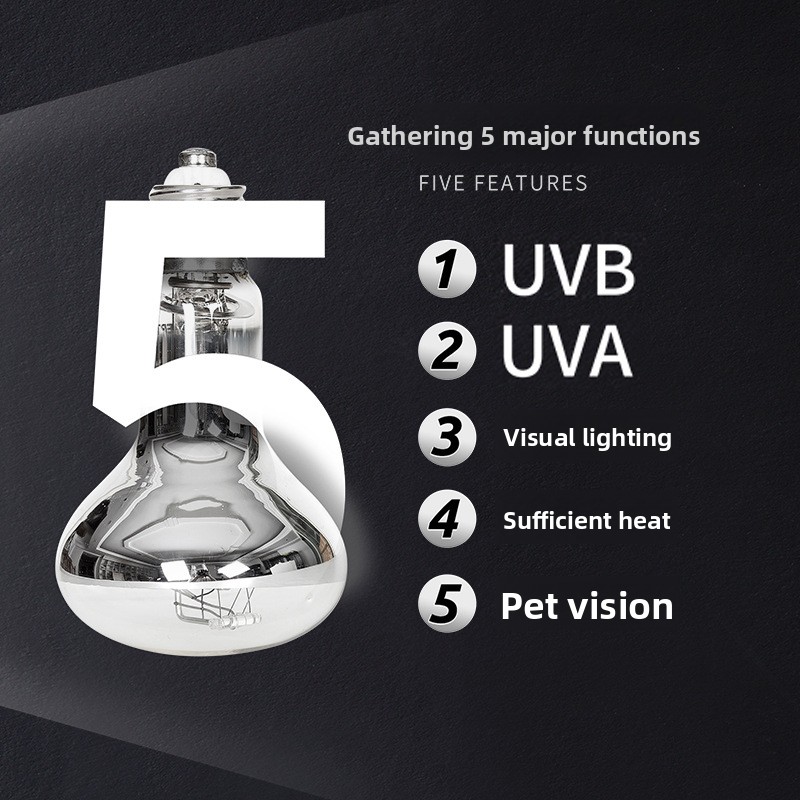Reptizoo Reptile Sun Lamp-UVA+ - đánh giá và giá Calcium Powder Reptile