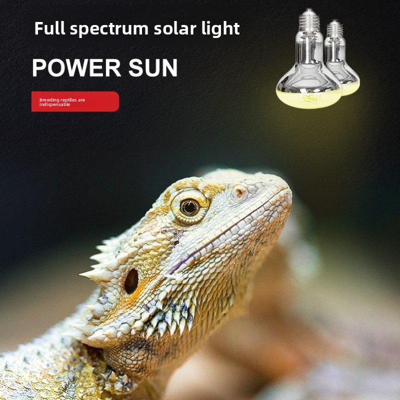 Reptizoo Reptile Sun Lamp-UVA+ - đánh giá và giá Calcium Powder Reptile