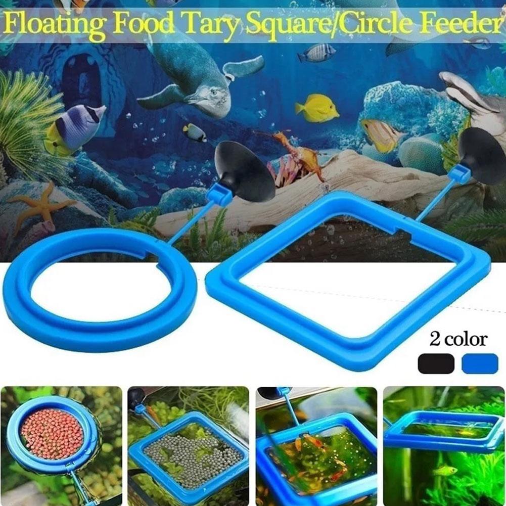 Fish Feeding Ring Feeder Fishi - đánh giá và giá Tetra Food Tropical Flakes