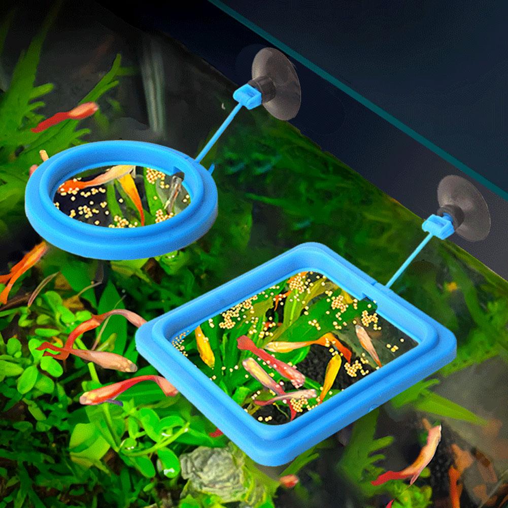 Fish Feeding Ring Feeder Fishi - đánh giá và giá Tetra Food Tropical Flakes