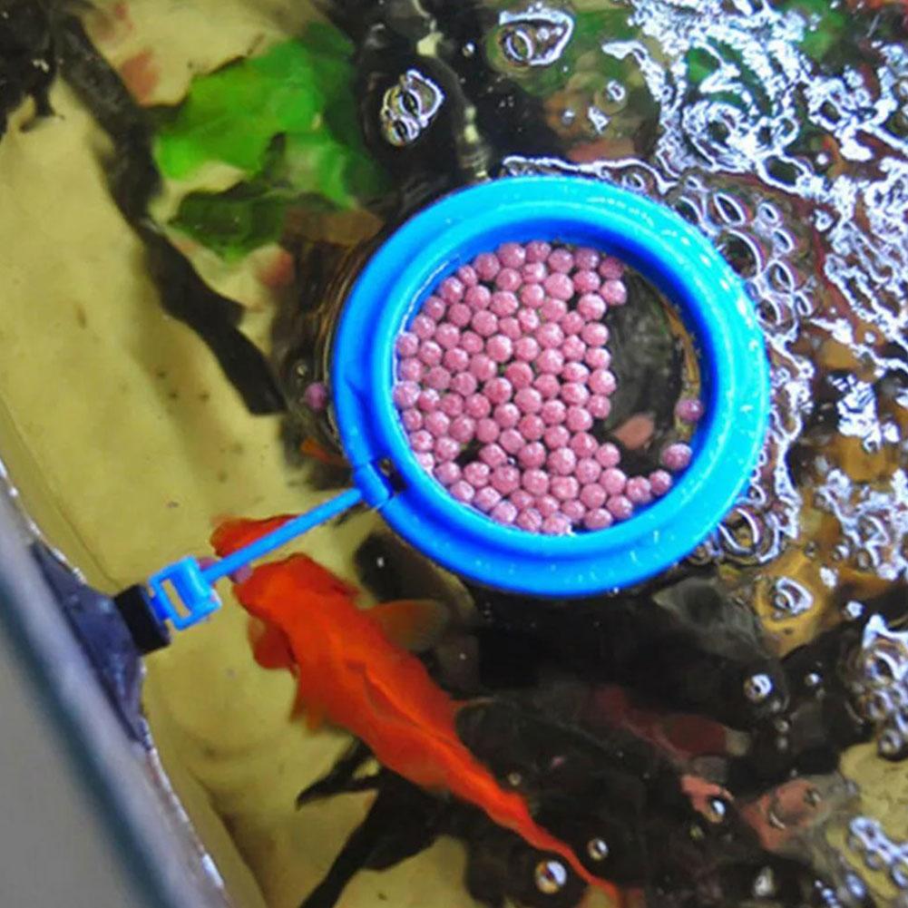 Fish Feeding Ring Feeder Fishi - đánh giá và giá Tetra Food Tropical Flakes