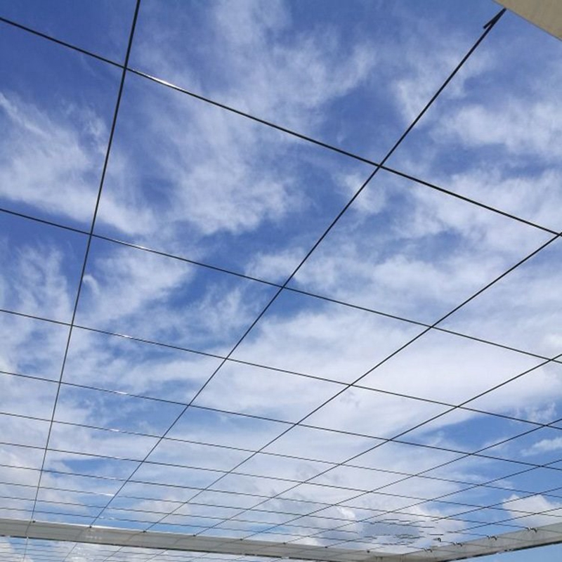 50m Plastic Steel Wire Agricul - đánh giá và giá Vine Climbing Plastic
