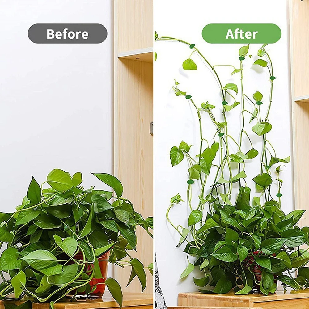10/30/50Pcs Plant Climbing Wal - đánh giá và giá Vine Climbing Plastic